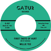 Willie Tee - First Taste of Hurt / I'm Having so Much Fun - Gatur Records -RSD 2022 image