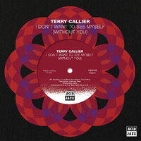 Terry Callier - I Don't Want To See Myself (Without You) - Acid Jazz 45 image